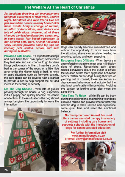 Pet Welfare At The Heart of Christmas